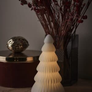 Sapin lumineux cire.