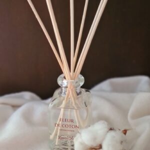 diffuseur 100ml avec batonnets de rotin