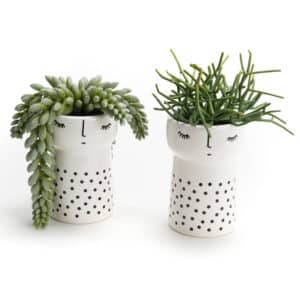 pot cactus céramique