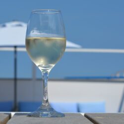 Le Gros-Plant : un vin océanique